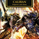 If your novel gives you the option of featuring the image of two massively-armoured, genetically enhanced super-twats dicking it out on the battlefield as your cover, take it.